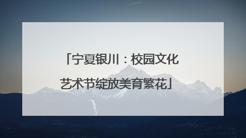 宁夏银川：校园文化艺术节绽放美育繁花