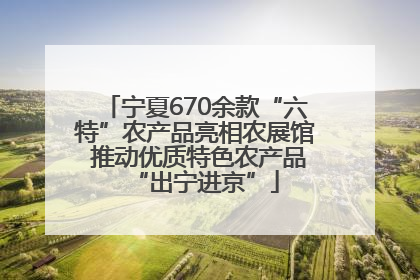 宁夏670余款“六特”农产品亮相农展馆 推动优质特色农产品“出宁进京”