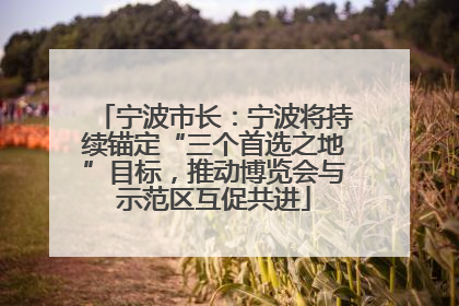 宁波市长：宁波将持续锚定“三个首选之地”目标，推动博览会与示范区互促共进