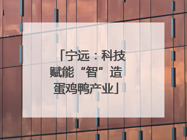 宁远：科技赋能“智”造蛋鸡鸭产业