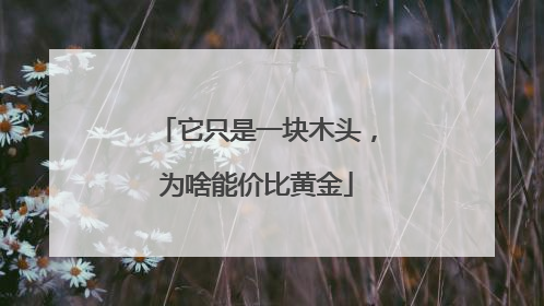 它只是一块木头，为啥能价比黄金