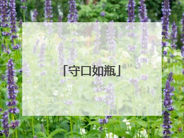 守口如瓶