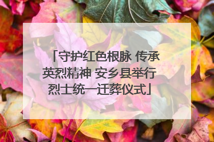 守护红色根脉 传承英烈精神 安乡县举行烈士统一迁葬仪式