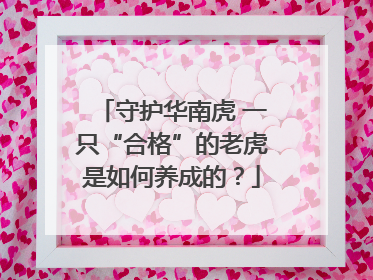 守护华南虎 一只“合格”的老虎是如何养成的？