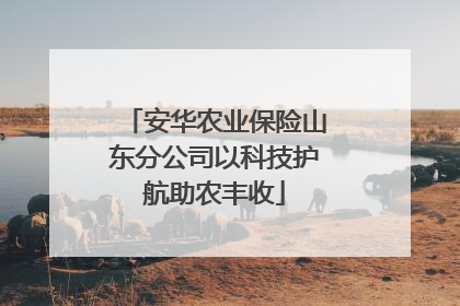 安华农业保险山东分公司以科技护航助农丰收