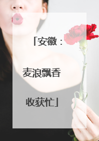 安徽：麦浪飘香收获忙