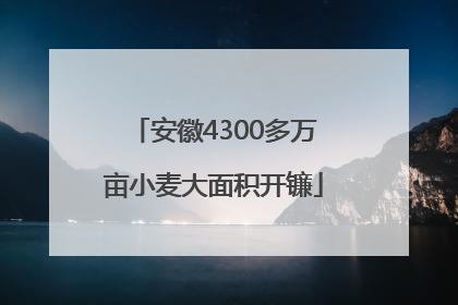 安徽4300多万亩小麦大面积开镰