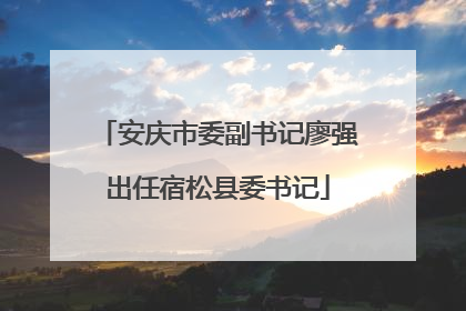 安庆市委副书记廖强出任宿松县委书记