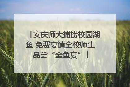 安庆师大捕捞校园湖鱼 免费宴请全校师生品尝“全鱼宴”