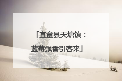 宜章县天塘镇：蓝莓飘香引客来