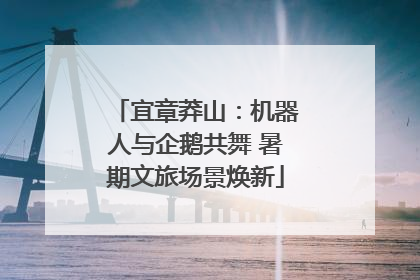 宜章莽山：机器人与企鹅共舞 暑期文旅场景焕新