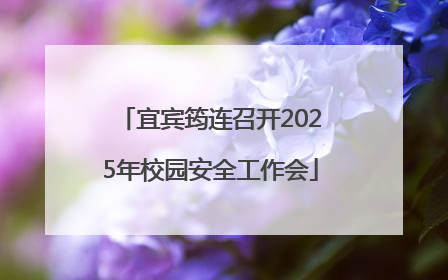 宜宾筠连召开2025年校园安全工作会