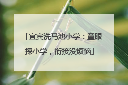 宜宾洗马池小学：童眼探小学，衔接没烦恼