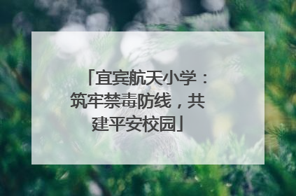 宜宾航天小学：筑牢禁毒防线，共建平安校园