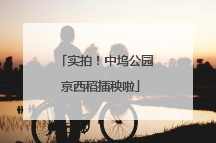 实拍！中坞公园京西稻插秧啦