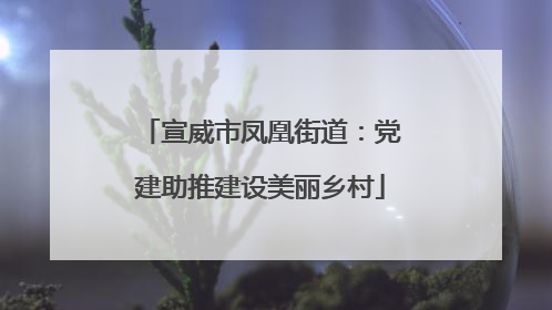 宣威市凤凰街道：党建助推建设美丽乡村
