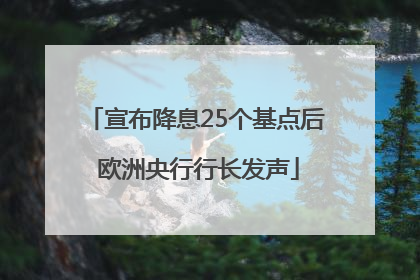 宣布降息25个基点后 欧洲央行行长发声