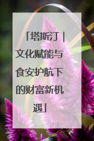 塔斯汀｜文化赋能与食安护航下的财富新机遇