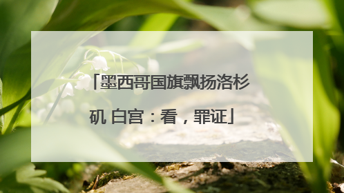 墨西哥国旗飘扬洛杉矶 白宫：看，罪证