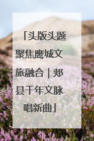 头版头题聚焦鹰城文旅融合｜郏县千年文脉唱新曲