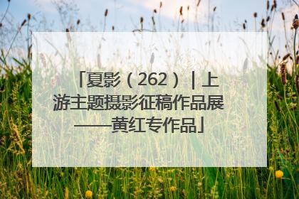 夏影（262）｜上游主题摄影征稿作品展——黄红专作品
