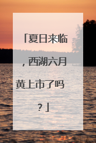 夏日来临，西湖六月黄上市了吗？