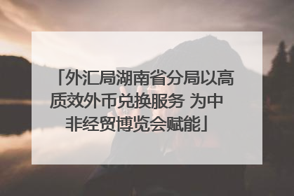 外汇局湖南省分局以高质效外币兑换服务 为中非经贸博览会赋能