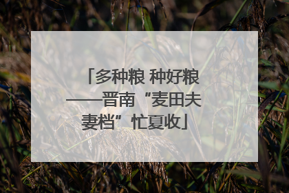 多种粮 种好粮——晋南“麦田夫妻档”忙夏收