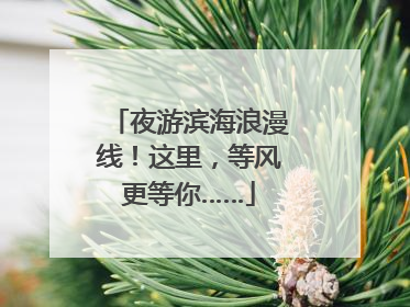 夜游滨海浪漫线！这里，等风更等你……