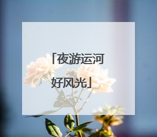 夜游运河好风光
