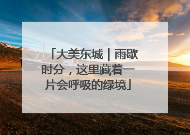 大美东城｜雨歇时分，这里藏着一片会呼吸的绿境