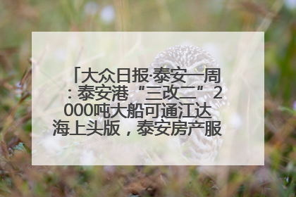 大众日报·泰安一周：泰安港“三改二”2000吨大船可通江达海上头版，泰安房产服务改革经验全省推广
