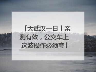 大武汉一日丨亲测有效，公交车上这波操作必须夸