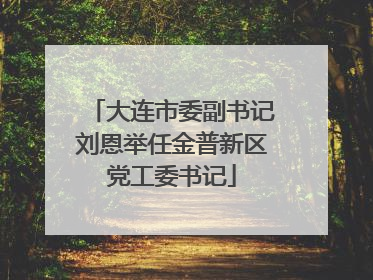 大连市委副书记刘恩举任金普新区党工委书记