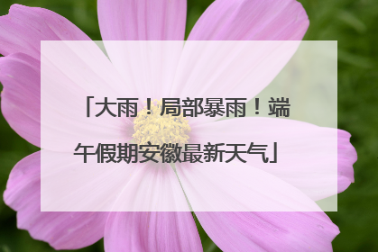 大雨！局部暴雨！端午假期安徽最新天气