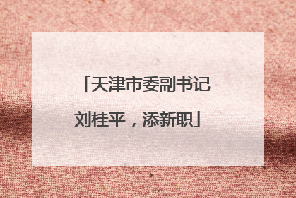 天津市委副书记刘桂平，添新职