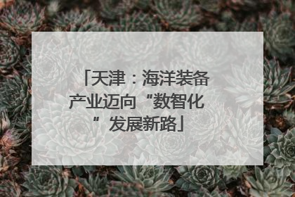 天津：海洋装备产业迈向“数智化”发展新路
