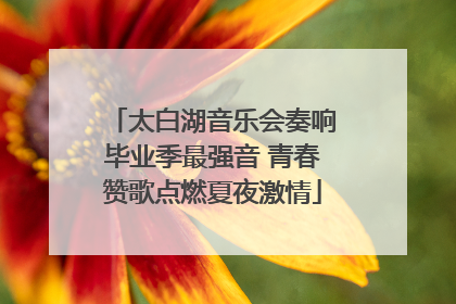 太白湖音乐会奏响毕业季最强音 青春赞歌点燃夏夜激情