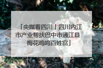 央媒看四川丨四川内江市产业帮扶巴中市通江县 梅花鸡鸣百姓富