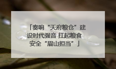 奏响“天府粮仓”建设时代强音 扛起粮食安全“眉山担当”