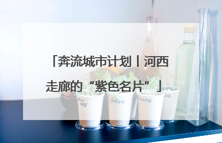 奔流城市计划丨河西走廊的“紫色名片”
