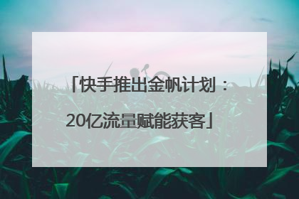 快手推出金帆计划：20亿流量赋能获客