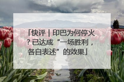快评｜印巴为何停火？已达成“一场胜利，各自表述”的效果