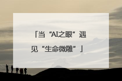 当“AI之眼”遇见“生命微雕”