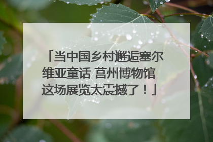 当中国乡村邂逅塞尔维亚童话 莒州博物馆这场展览太震撼了！