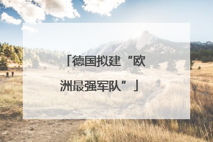 德国拟建“欧洲最强军队”