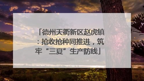 德州天衢新区赵虎镇：抢收抢种同推进，筑牢“三夏”生产防线