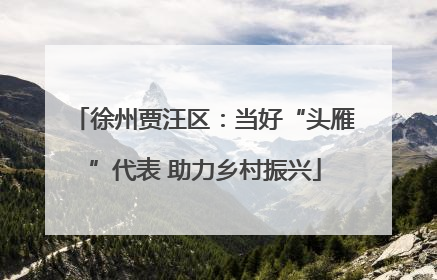 徐州贾汪区：当好“头雁”代表 助力乡村振兴