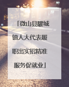 微山县驩城镇人大代表履职出实招精准服务促就业