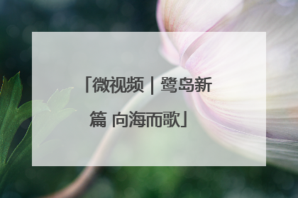 微视频｜鹭岛新篇 向海而歌